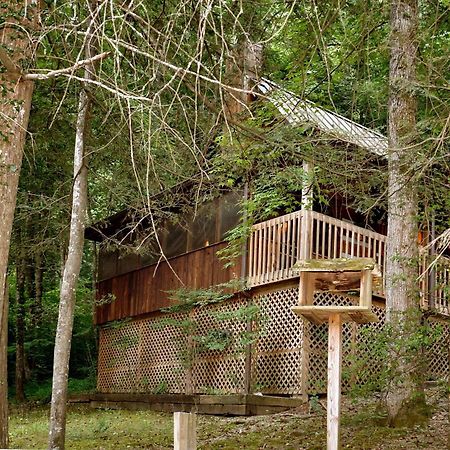Parkside Party #1676 Vila Gatlinburg Exterior foto